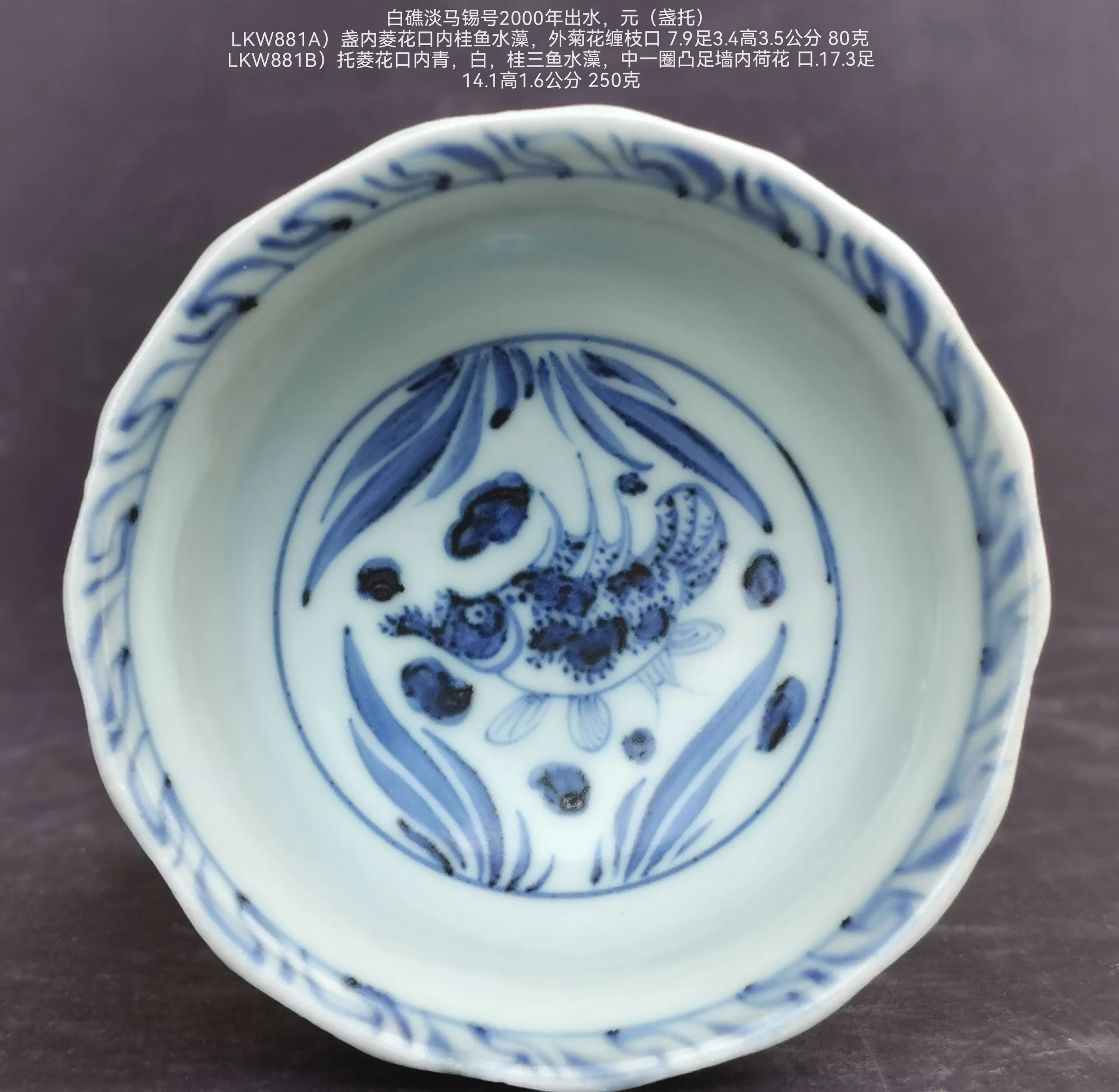 元青花Yuan Blue & White — 林朝华盆景古董海上丝绸之路Lim Keow Wah